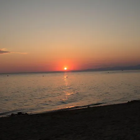 Hotell Star Paradise 3*