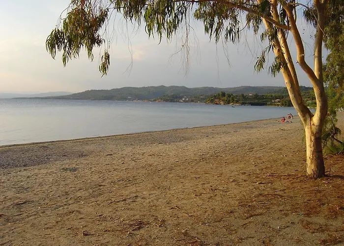 ホテル Star Paradise ネオス・マルマラス